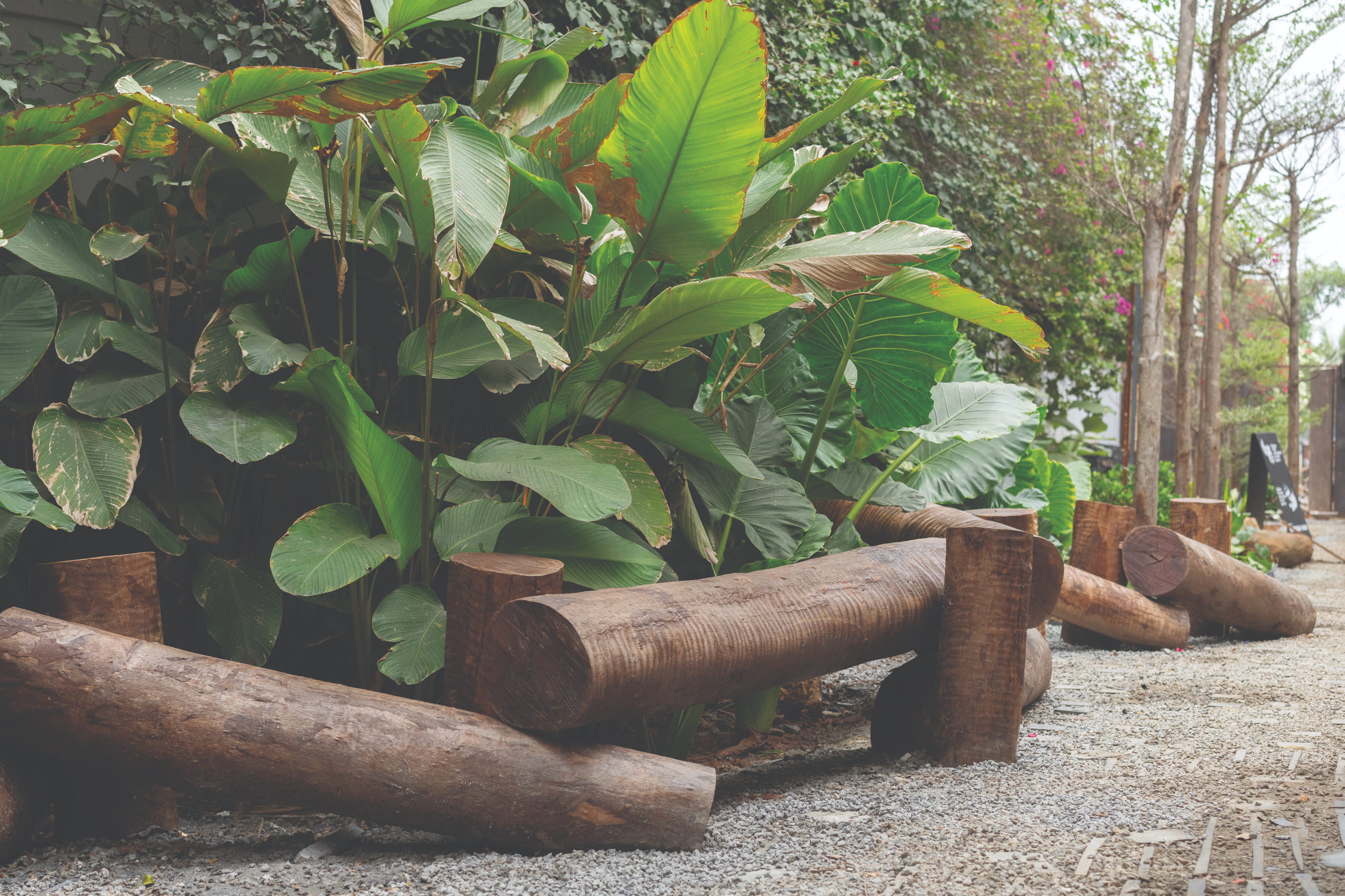 A sanctuary where earth and people meet